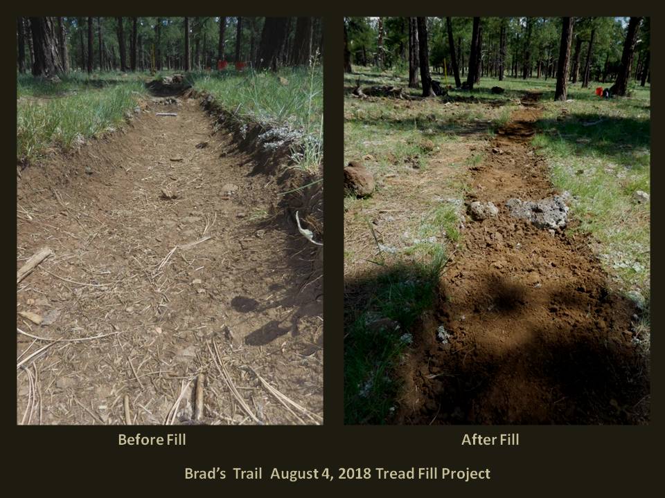 Brad's Trail Fill Project Before and After