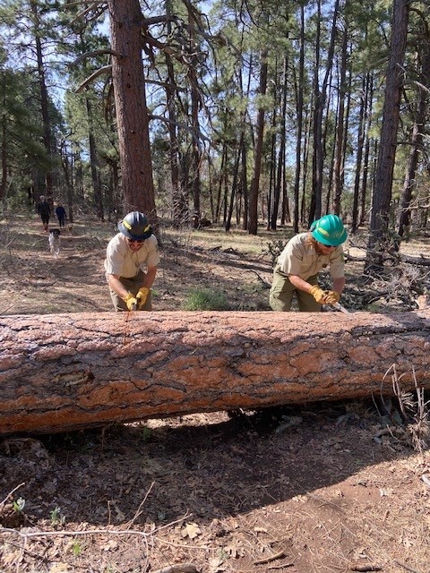 Workers clearing Crystal Point trail the hard way...