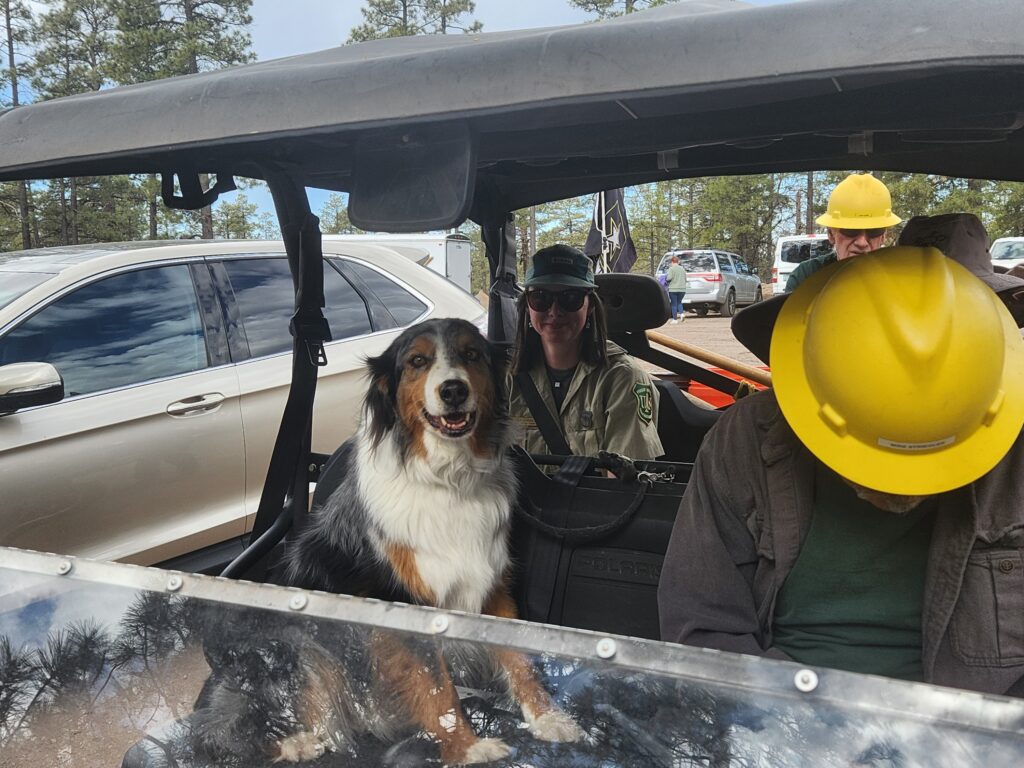 Our mascot MUT, Jake, ready to clear trails.