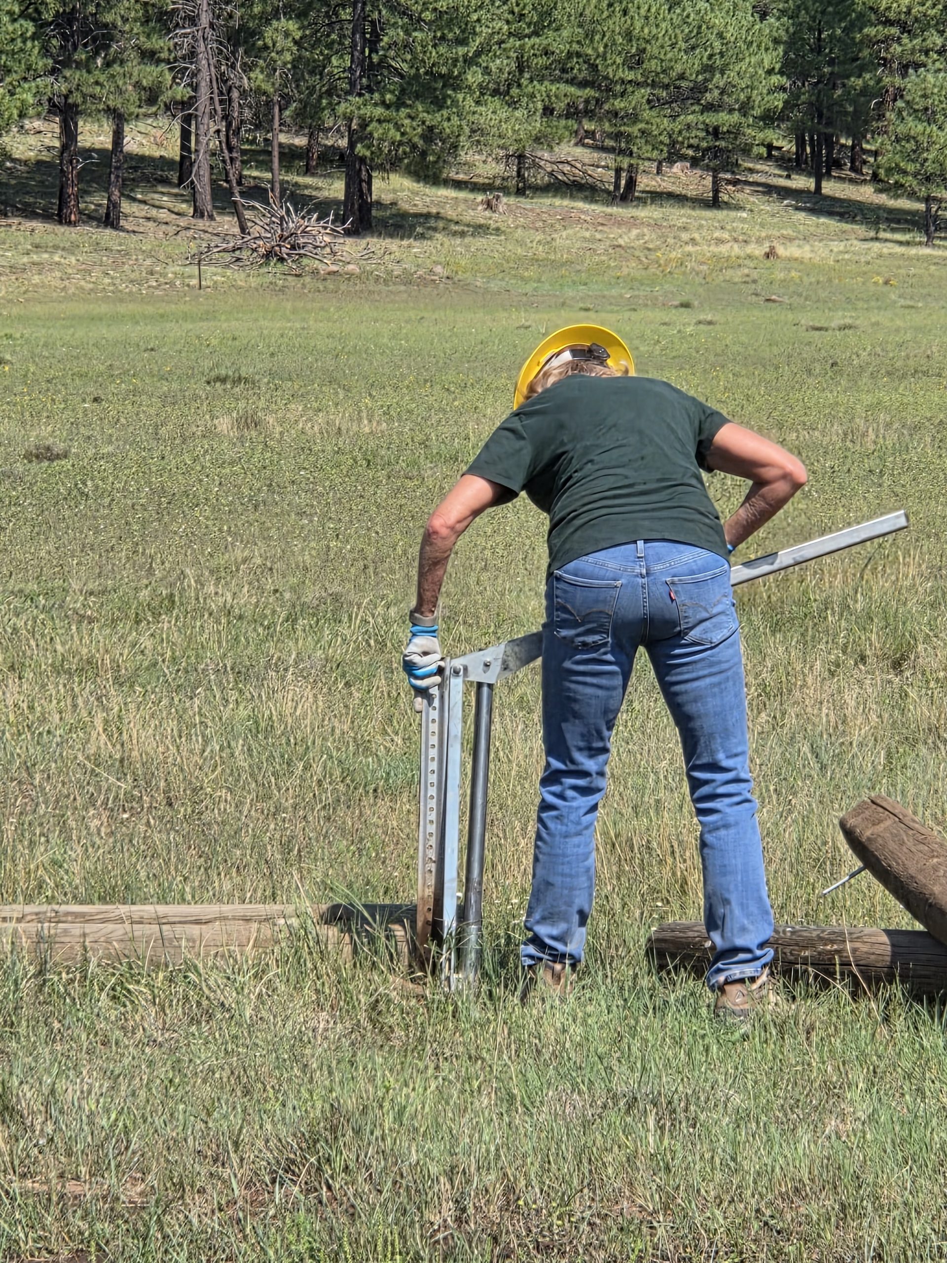Horse Park fencing removal - August 2026