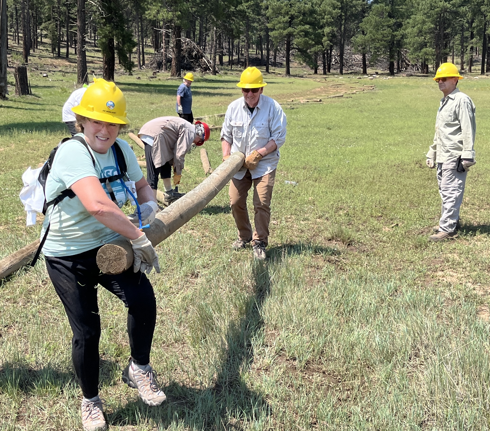 Horse Park fencing removal - August 2026