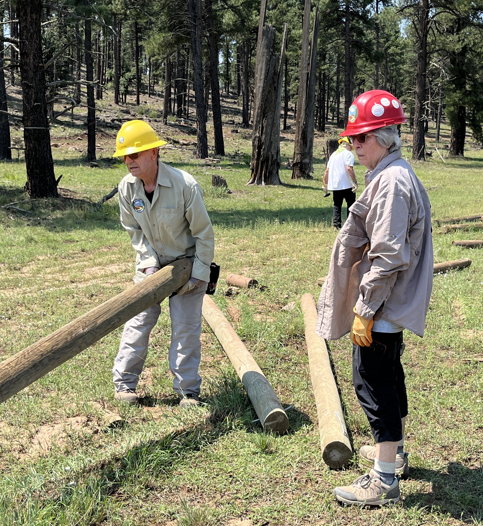 Horse Park fencing removal - August 2026