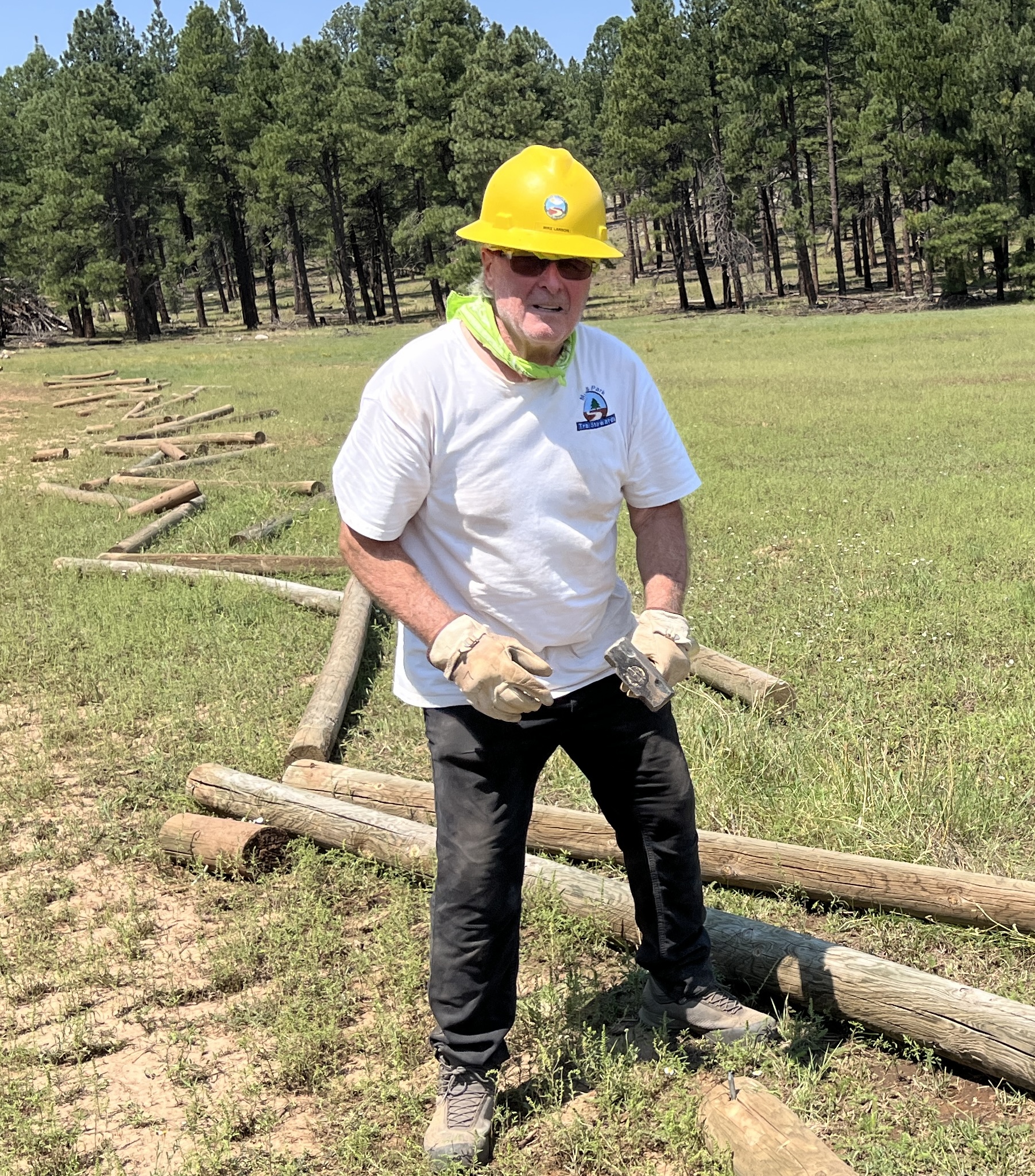 Horse Park fencing removal - August 2026