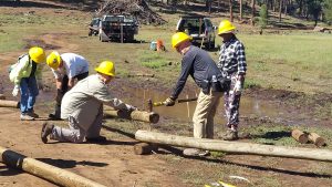 Rebuilding Horse Park Fence