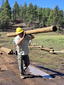 Hauling logs for new fence