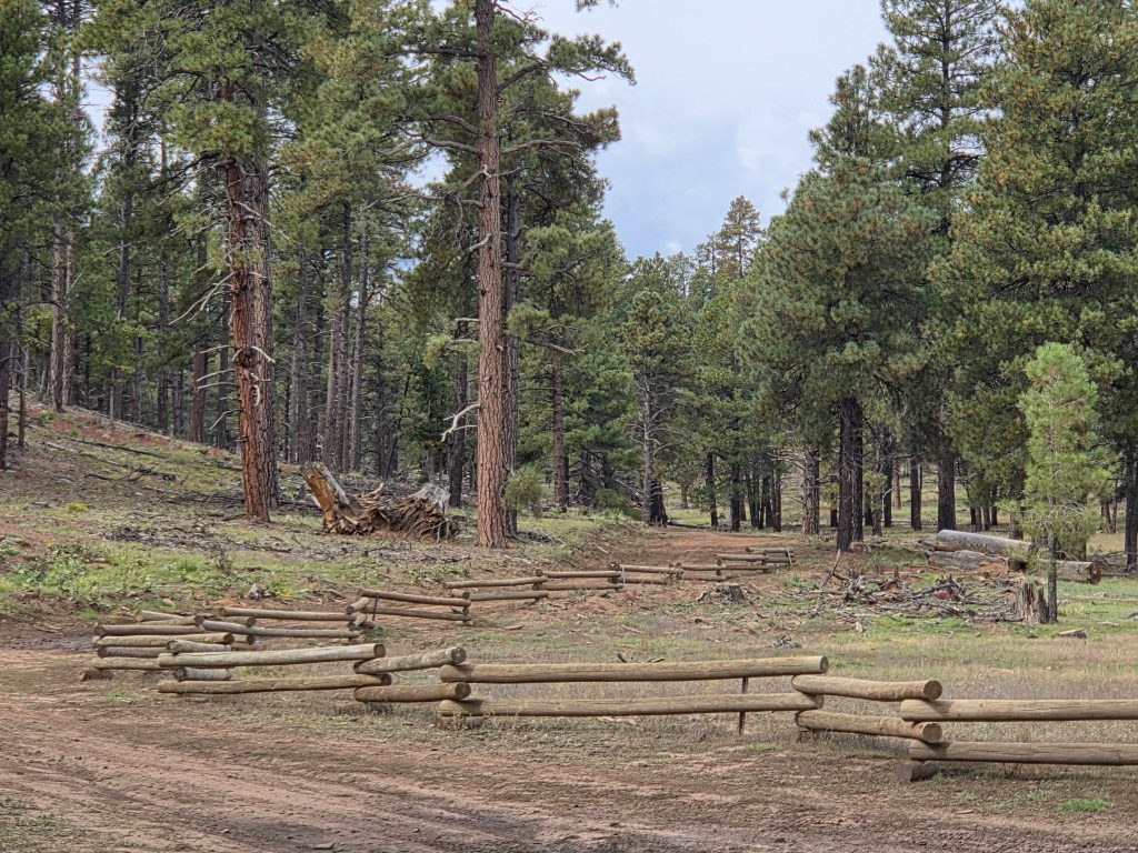 Horse Park Fencing Project - Finished!