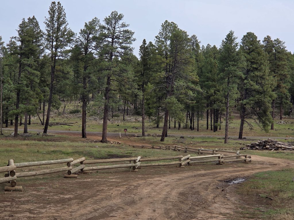 Horse Park Fencing Project - Finished!